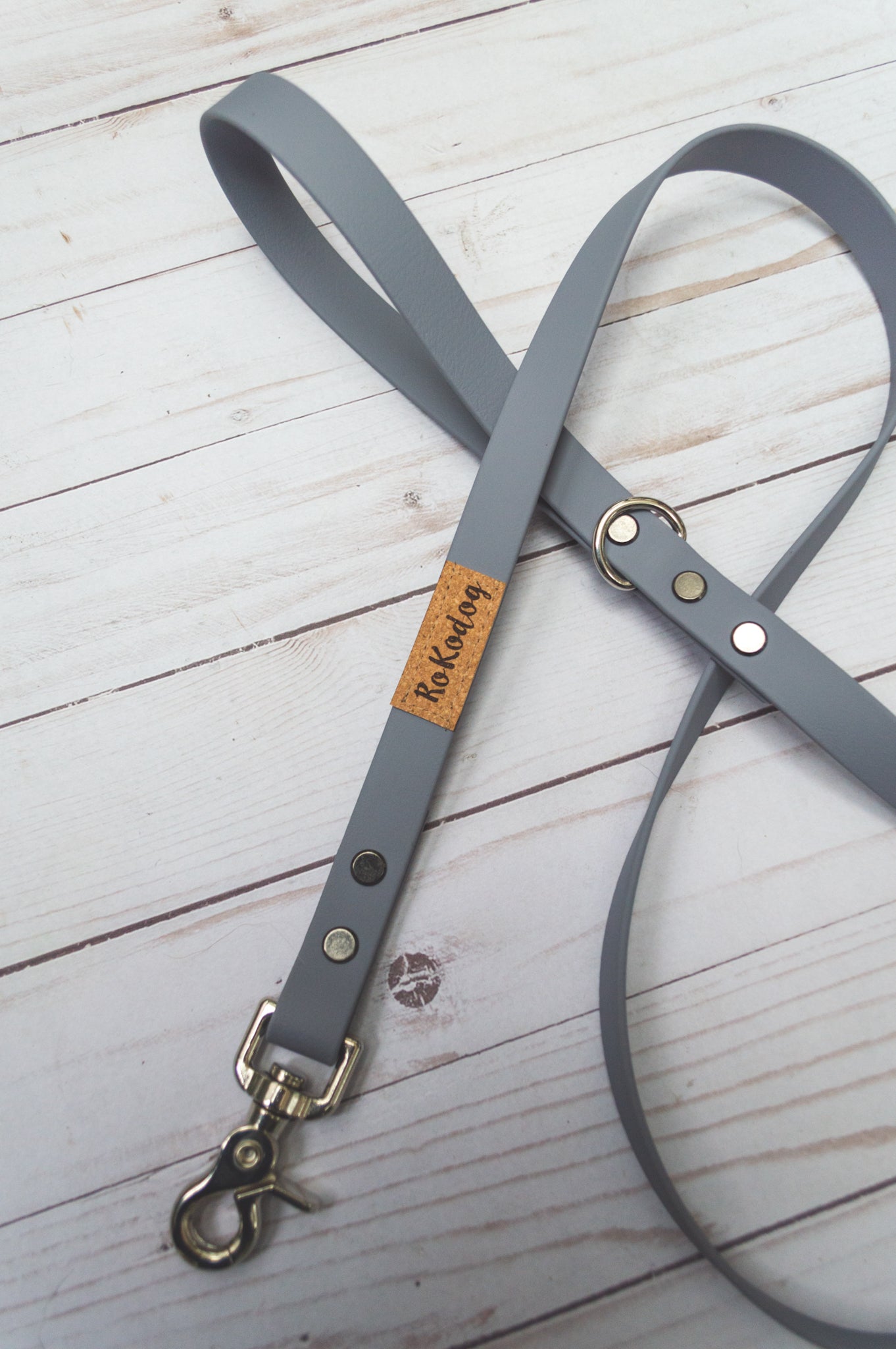 Trailblazer Leash