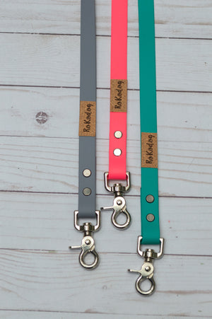 Trailblazer Leash